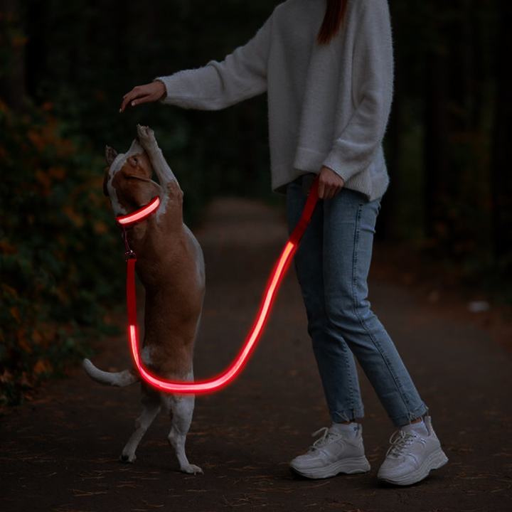 New Design Cool USB Rechargeable LED Flashing Anti-lost Dog Leash