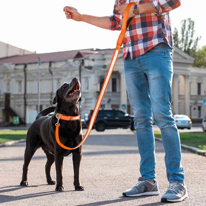 New Design Cool USB Rechargeable LED Flashing Anti-lost Dog Leash