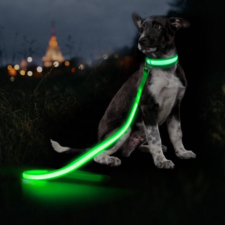 New Design Cool USB Rechargeable LED Flashing Anti-lost Dog Leash