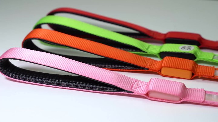 New Design Cool USB Rechargeable LED Flashing Anti-lost Dog Leash