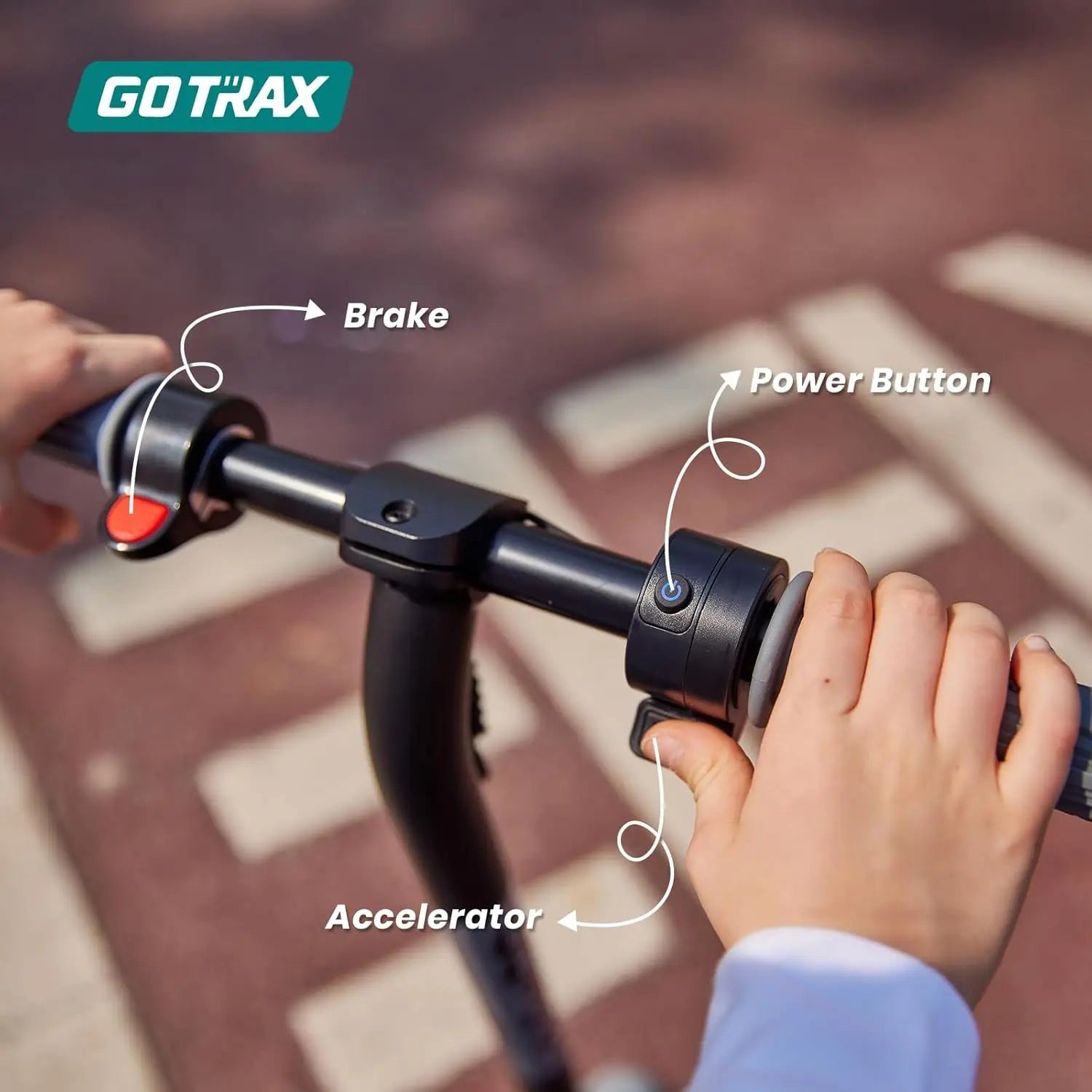 6 Inch Wheel Scooter for Youth