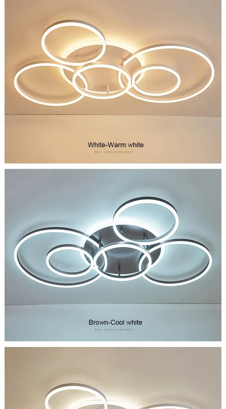 circle ceiling light​