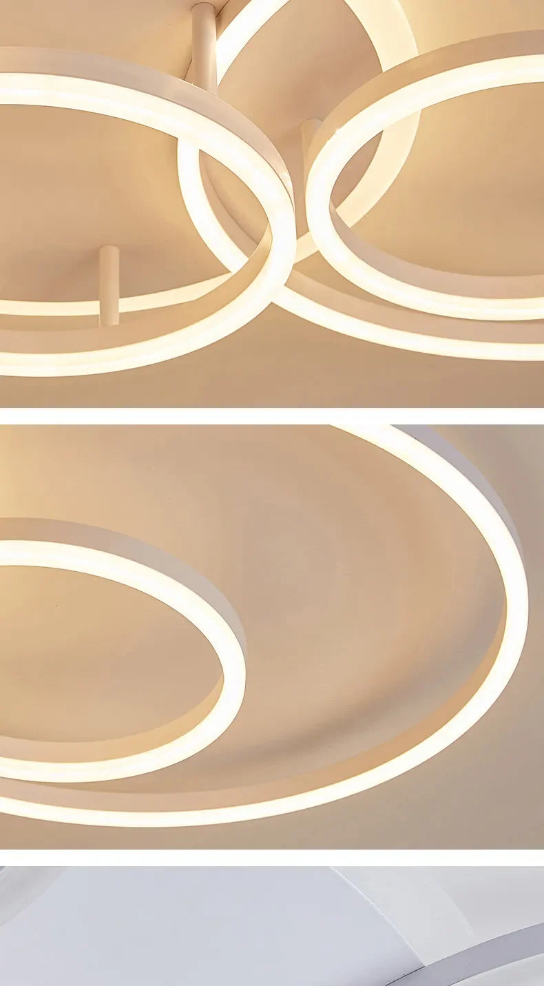 circle ceiling light​