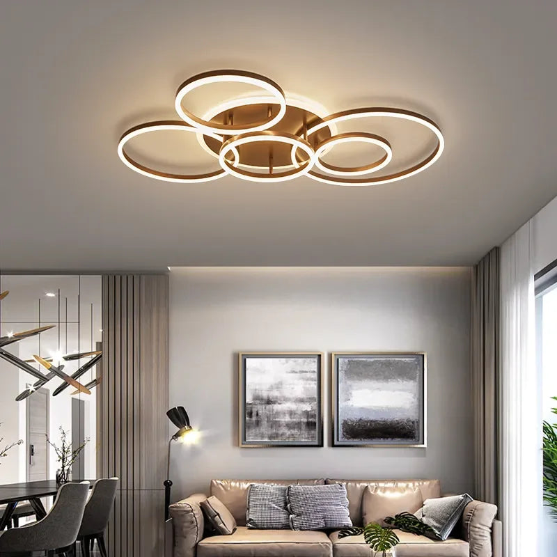 circle ceiling light​