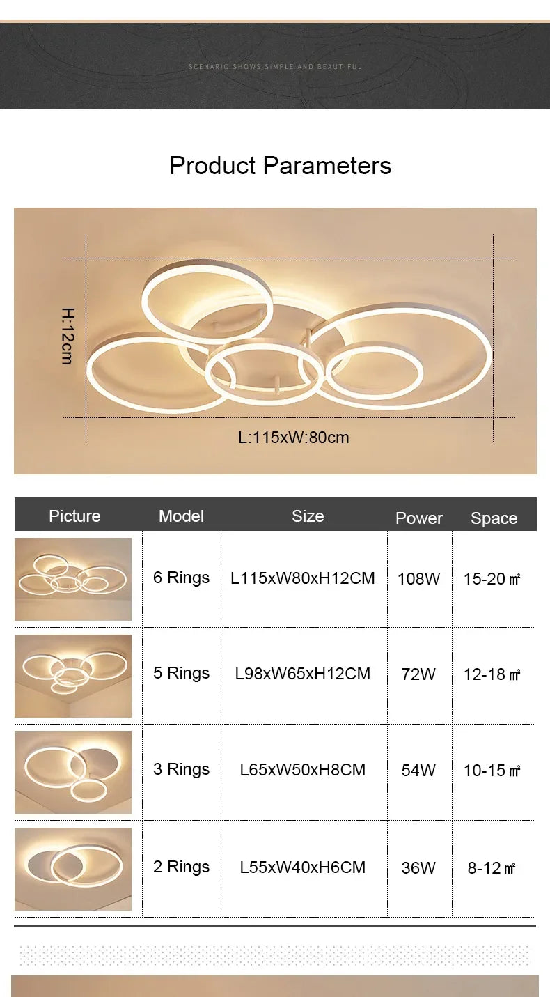 circle ceiling light​
