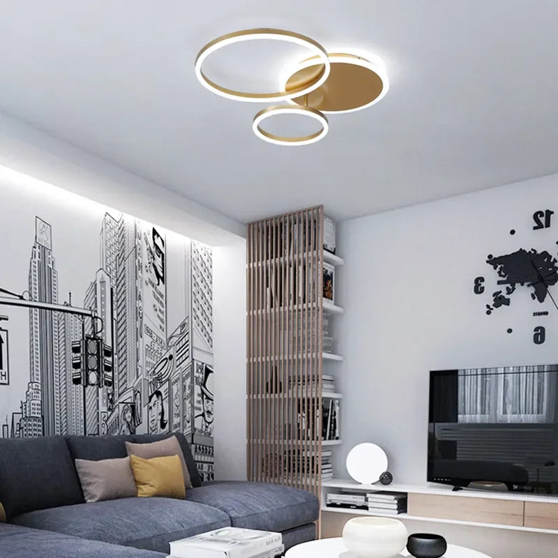 circle ceiling light​