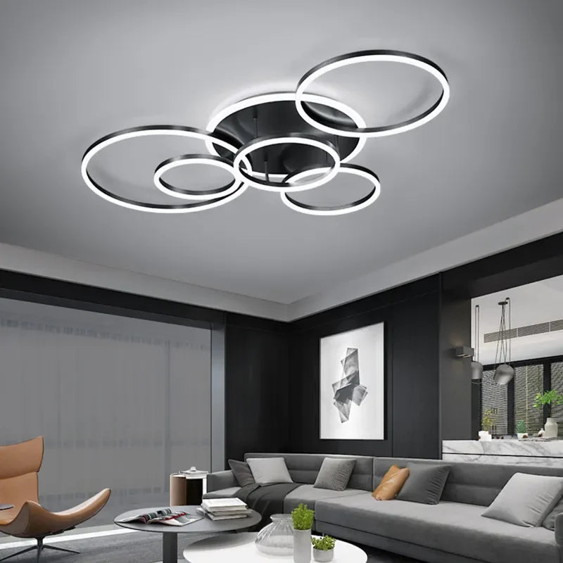 circle ceiling light​