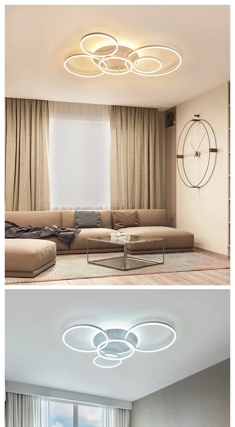 circle ceiling light​