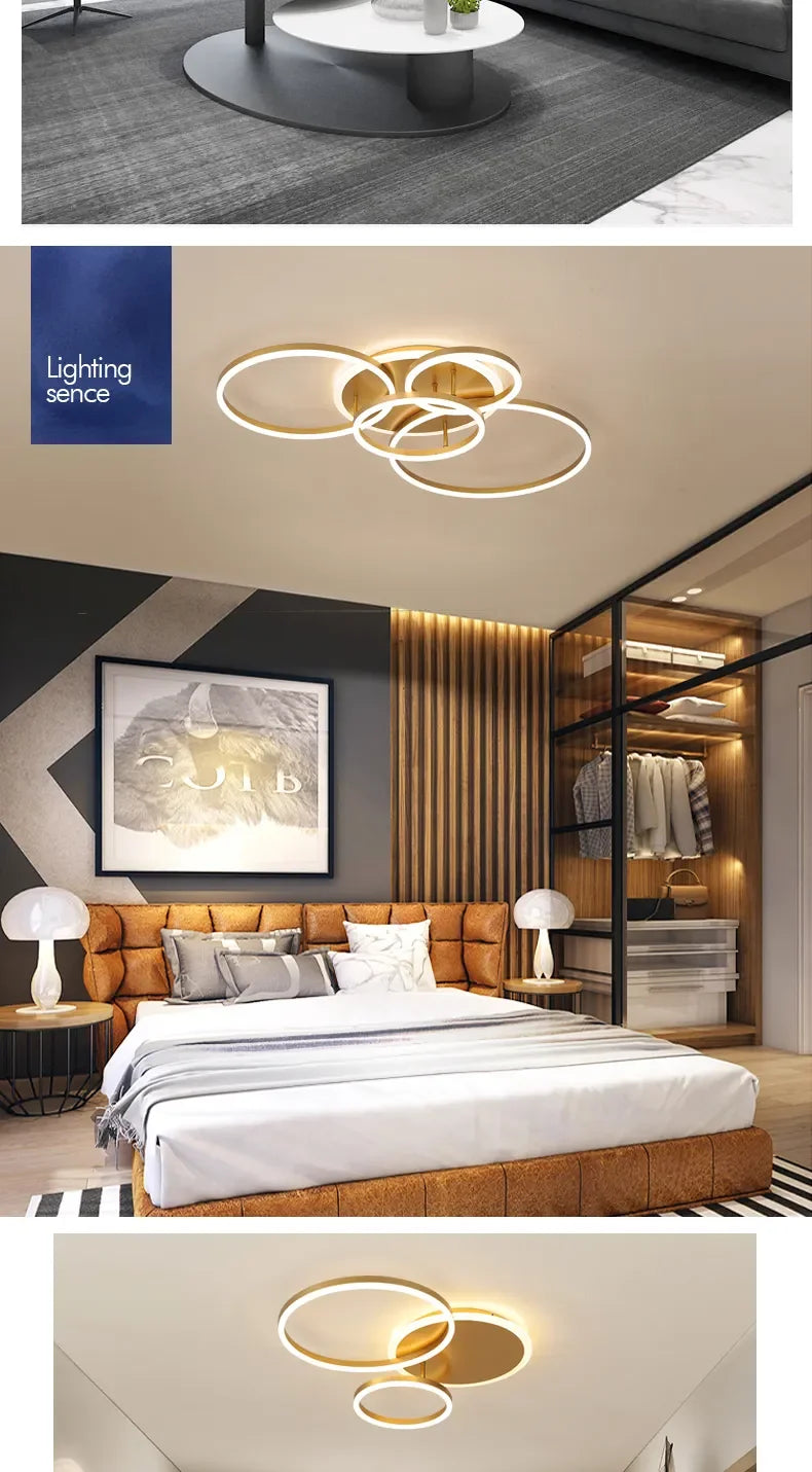 circle ceiling light​