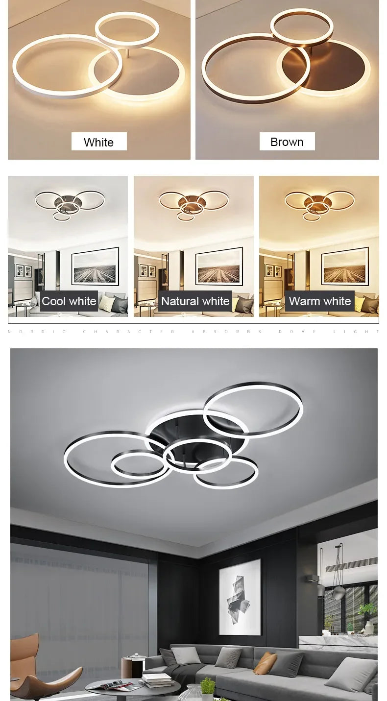 circle ceiling light​