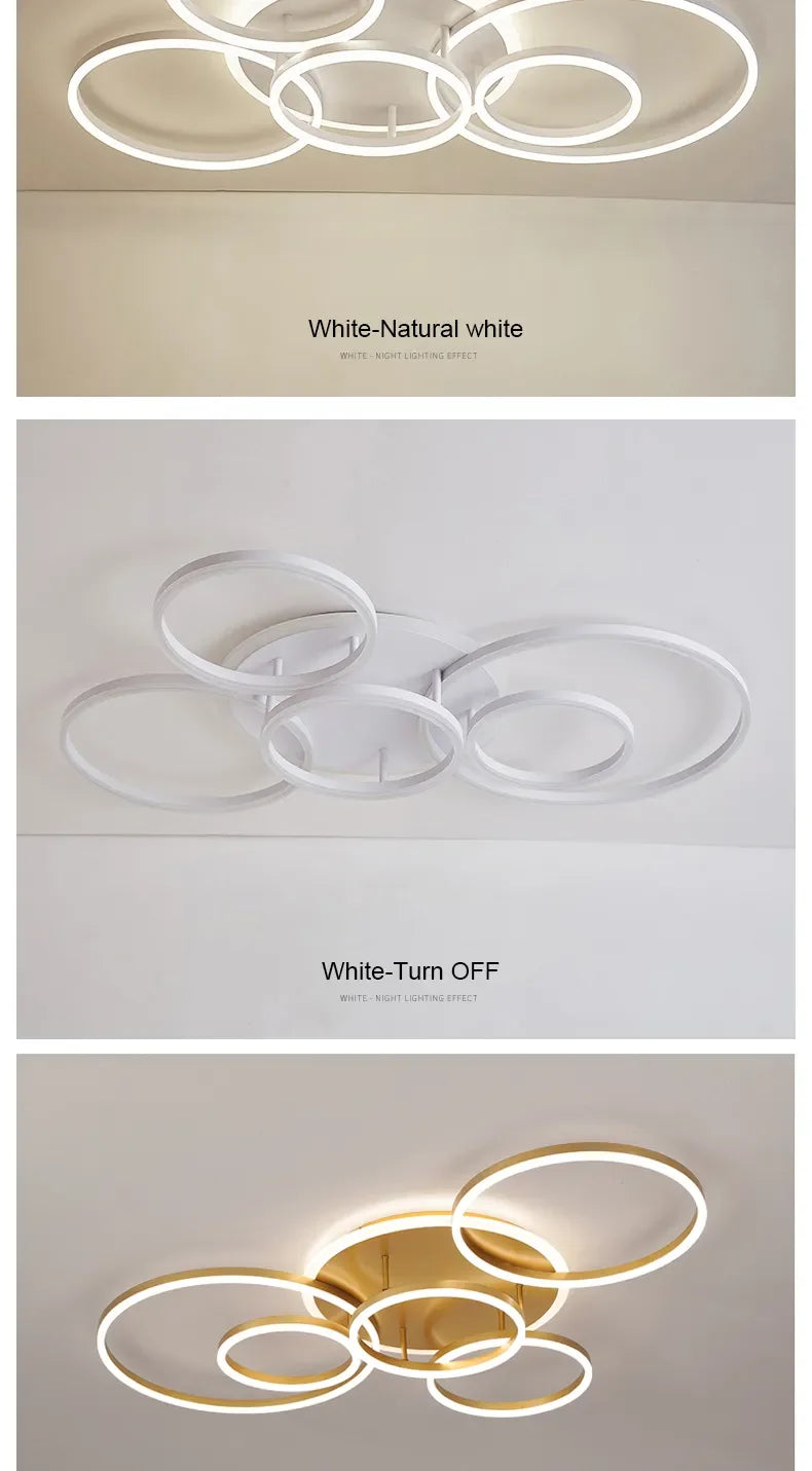 circle ceiling light​