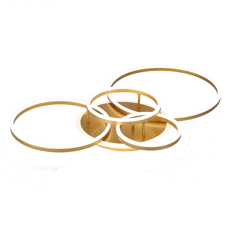 circle ceiling light​