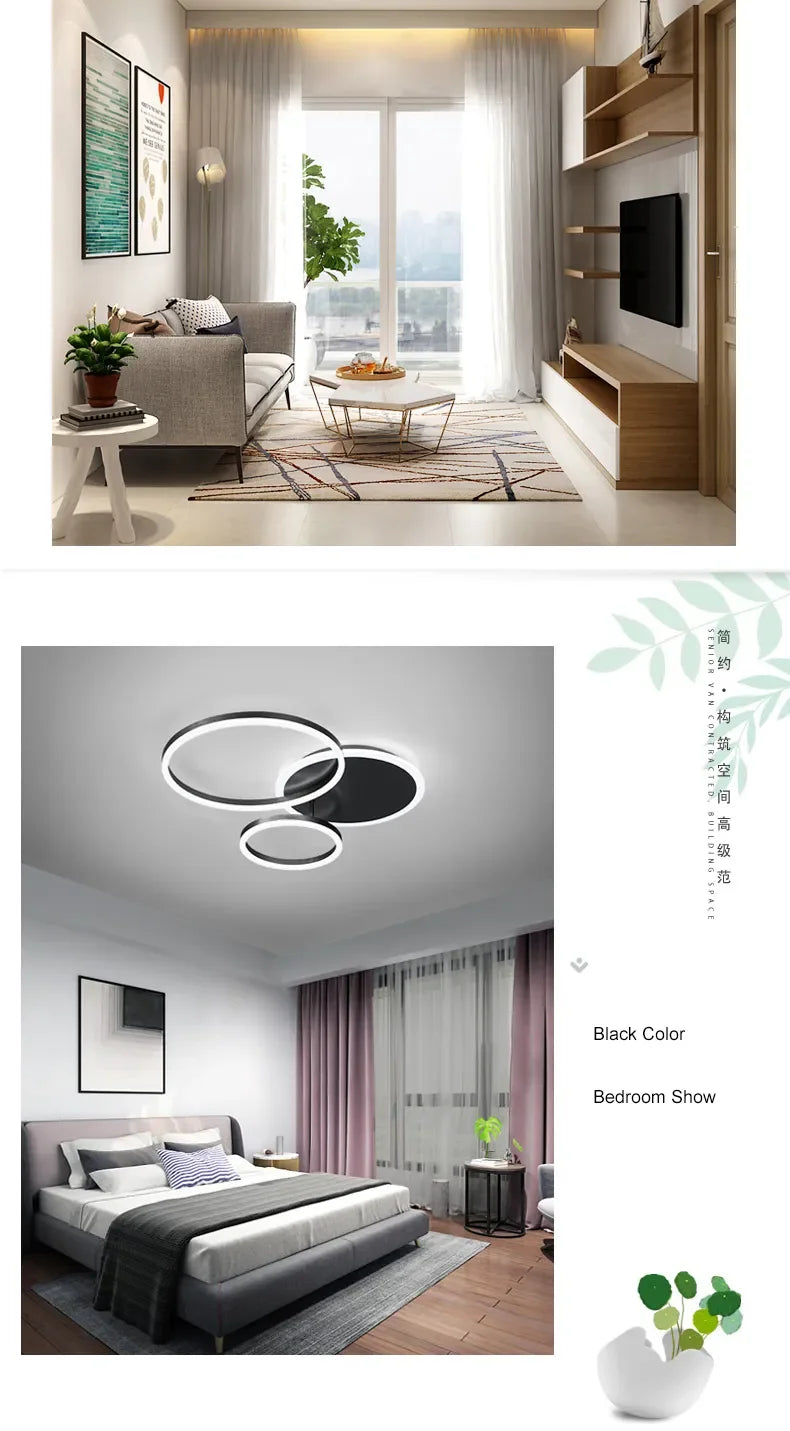 circle ceiling light​