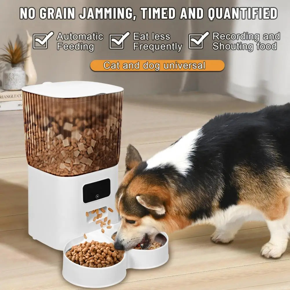 Pet Automatic Feeders 5L Smart Dong/cat Feeder With Dual Bowls WiFi APP Remote Control Cat Food Dispenser USB Power Dog Feeder