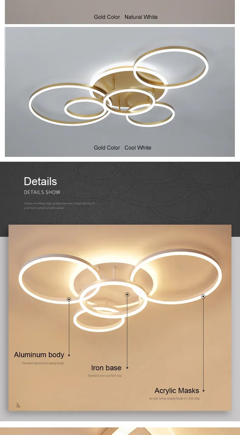 circle ceiling light​