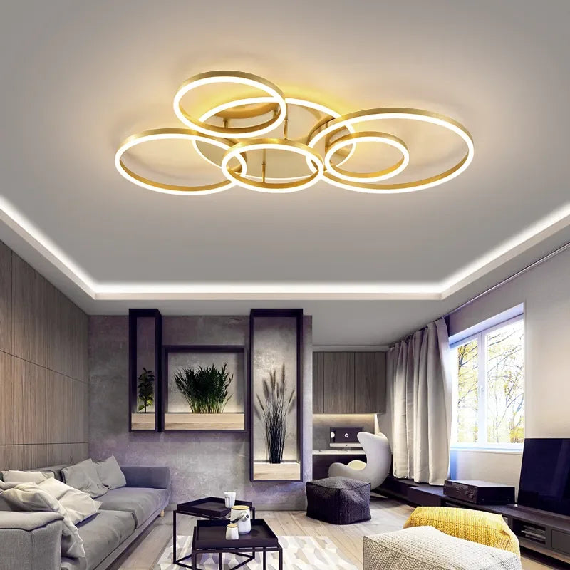 circle ceiling light​