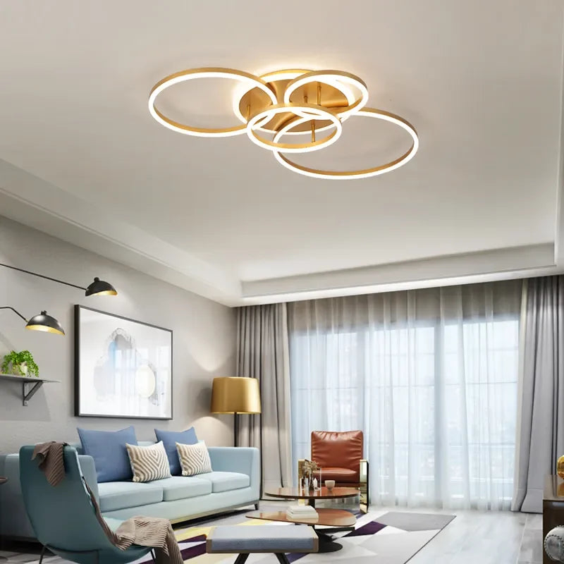 circle ceiling light​
