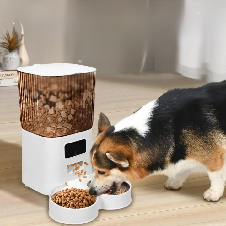 Pet Automatic Feeders 5L Smart Dong/cat Feeder With Dual Bowls WiFi APP Remote Control Cat Food Dispenser USB Power Dog Feeder