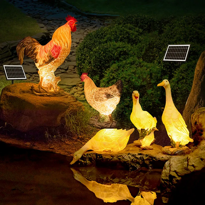 Solar Light